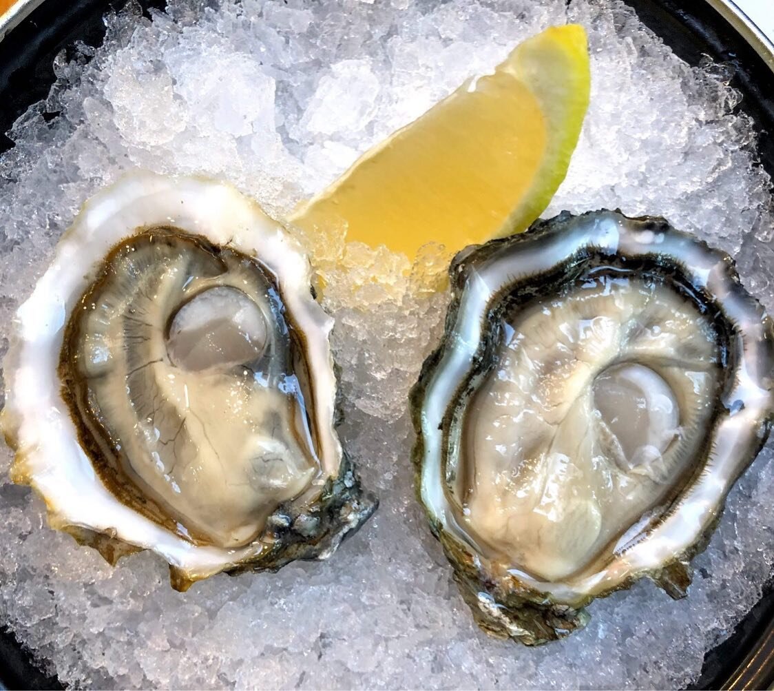 When life gives you lemons, order fresh oysters 🦪 

#mussels #shipping #overnightshipping #tistheseason #oysters #clams #penncoveshellfish #penncove #farmtotable #freshseafood #fresh #rawoysters #grilledoysters #zinc #pnw #pnwonderland #shellfish #s