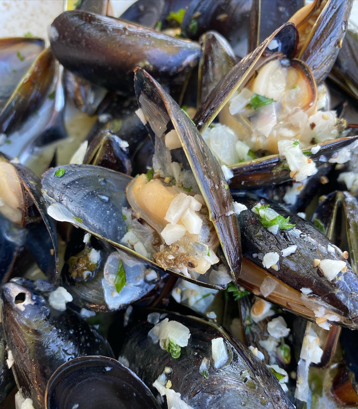 When it comes to sharing mussels, it&rsquo;s okay to be shellfish. 😏

How amazing do these mussels in a white wine garlic sauce look? Thank you @thecaptainwhidbey for filling my belly once again with these delicious mussels. 

No, I did not share. ?