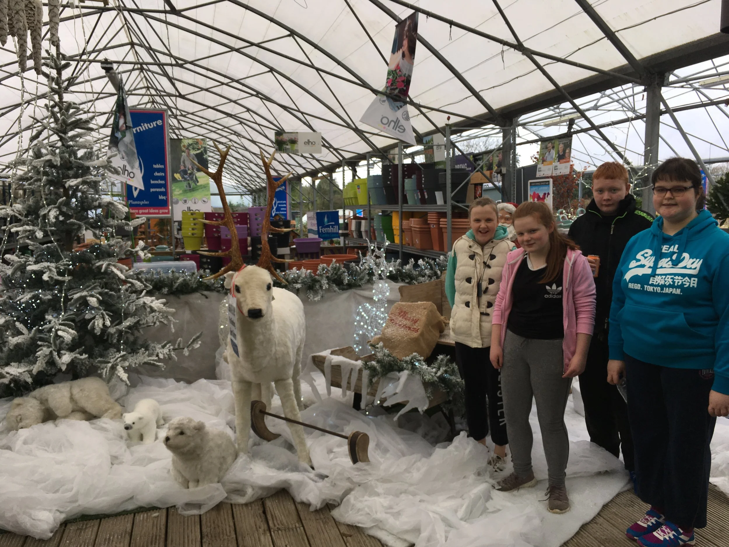 Narnia's day out November 2017