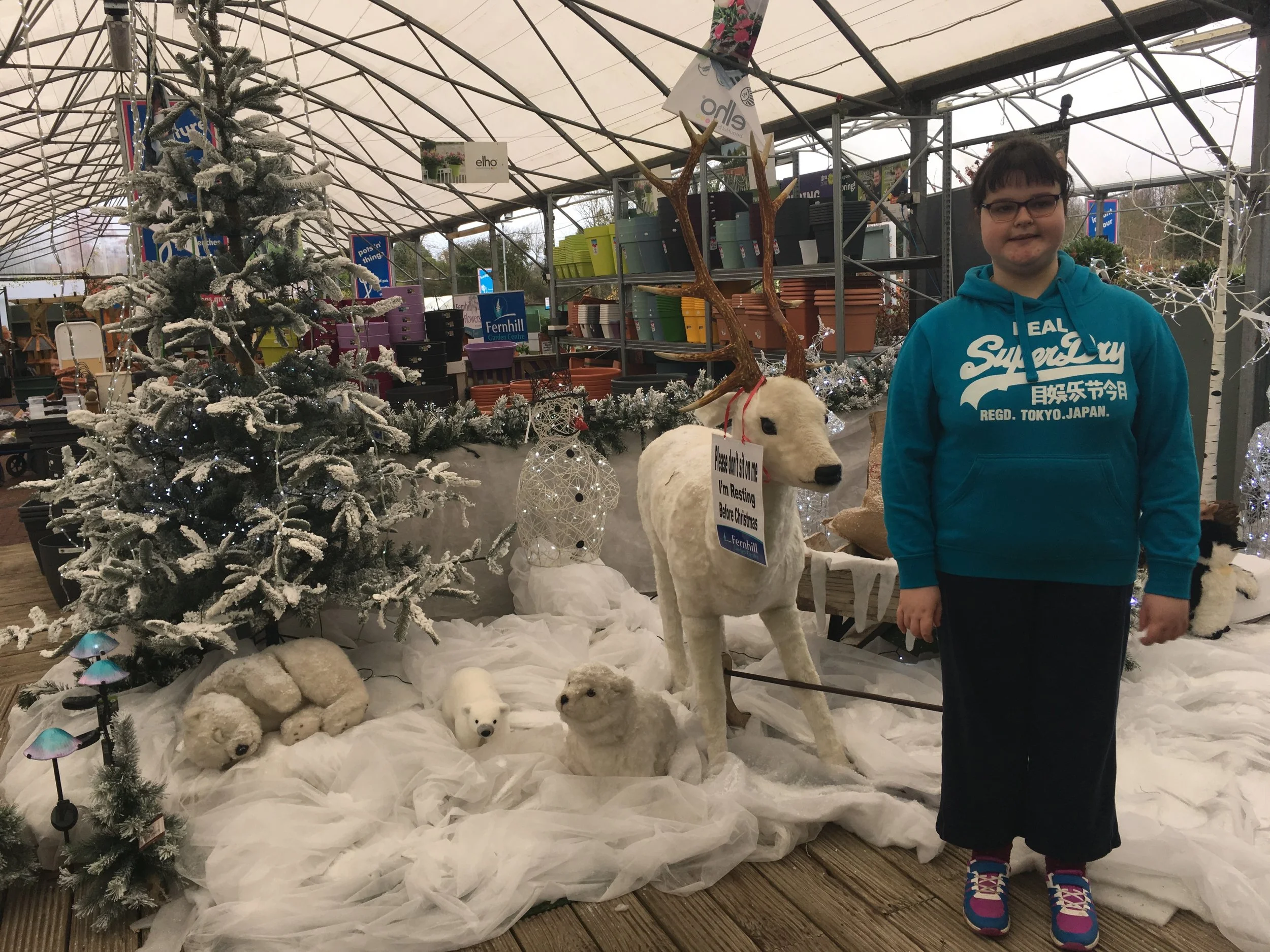 Narnia's day out November 2017