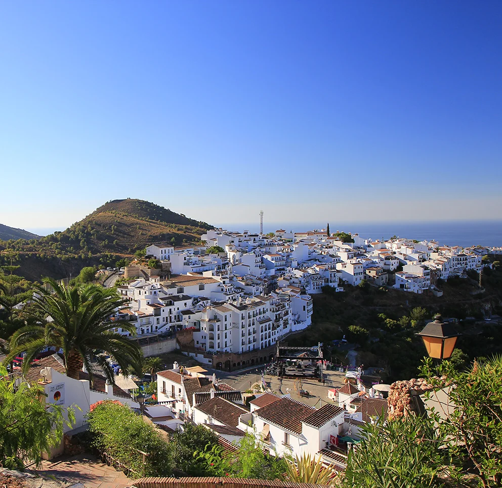 scrollfrigiliana.jpg