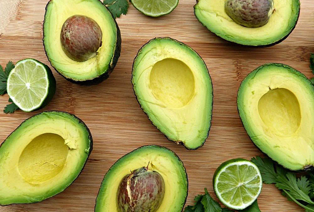 avo-clients.jpg