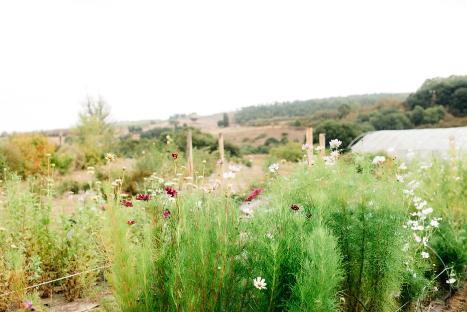 la Flower farm si inserisce perfettamente con il territorio