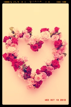 The Art Of a Good Girl’s Heart