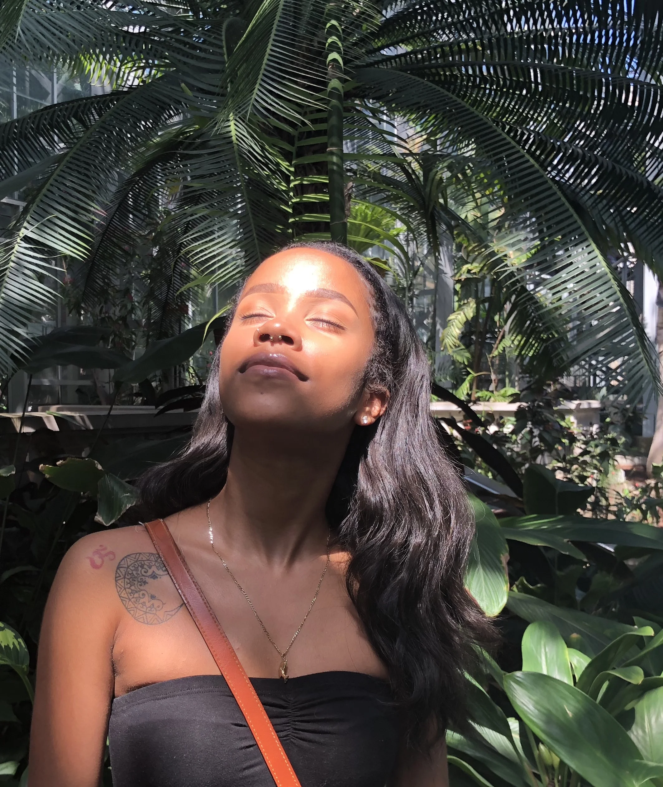 sunlight.jpg