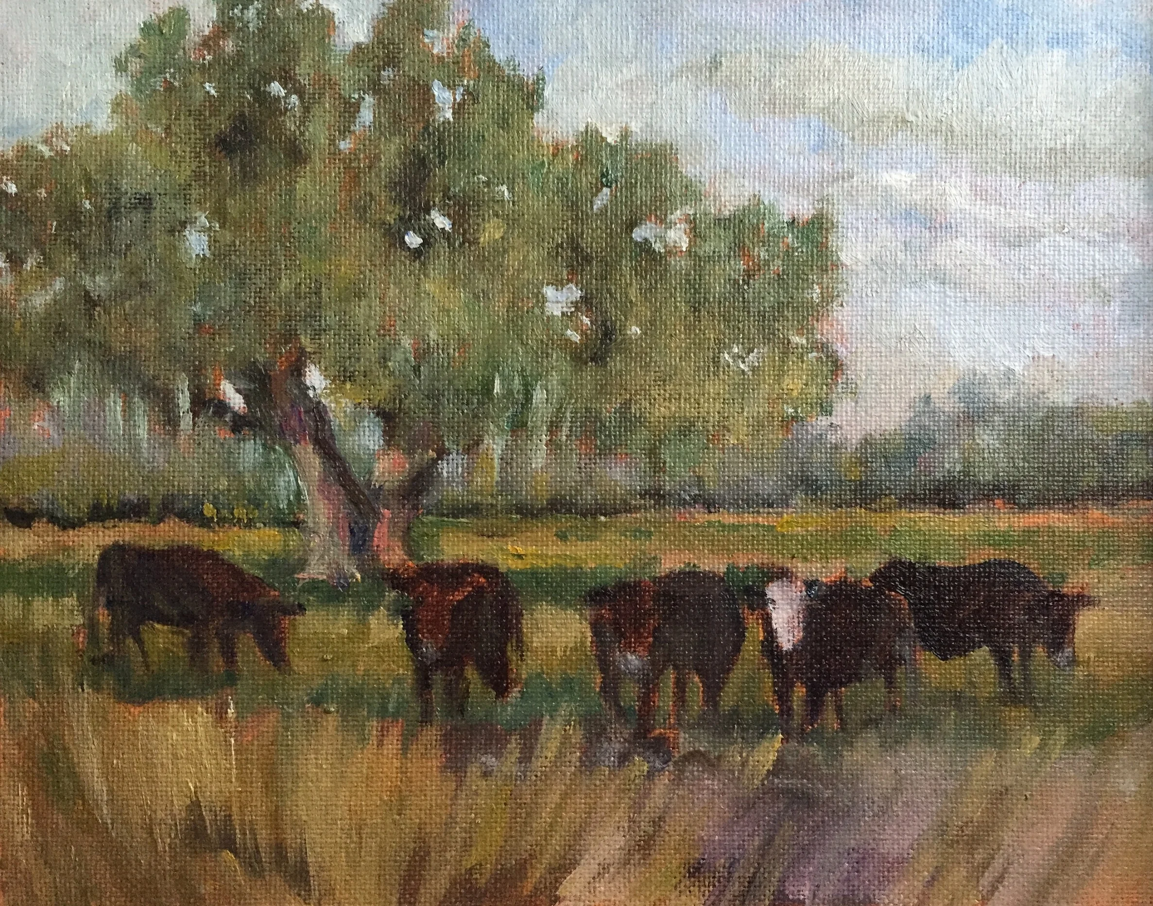 Cow Pasture Oil on panle 6" x 9"