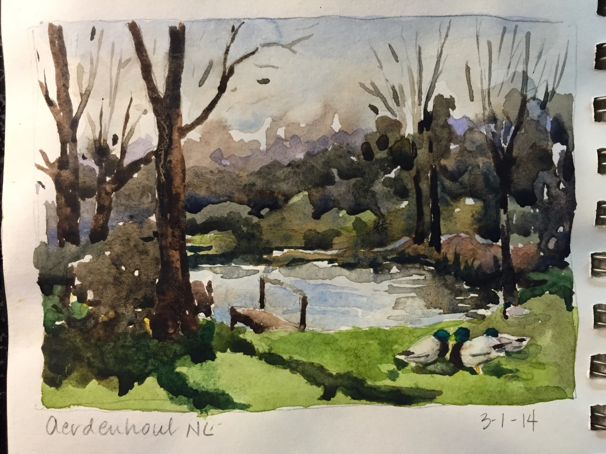 Aerdenhout, NL 3-1-14.JPG