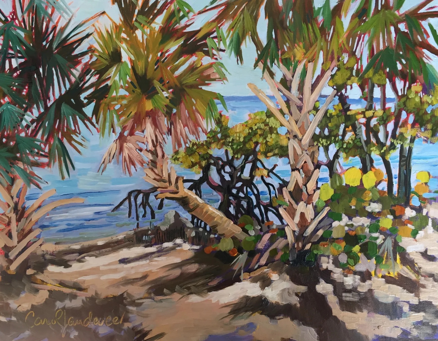 Under the Jensen Causeway