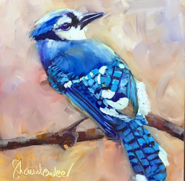 Bluejay