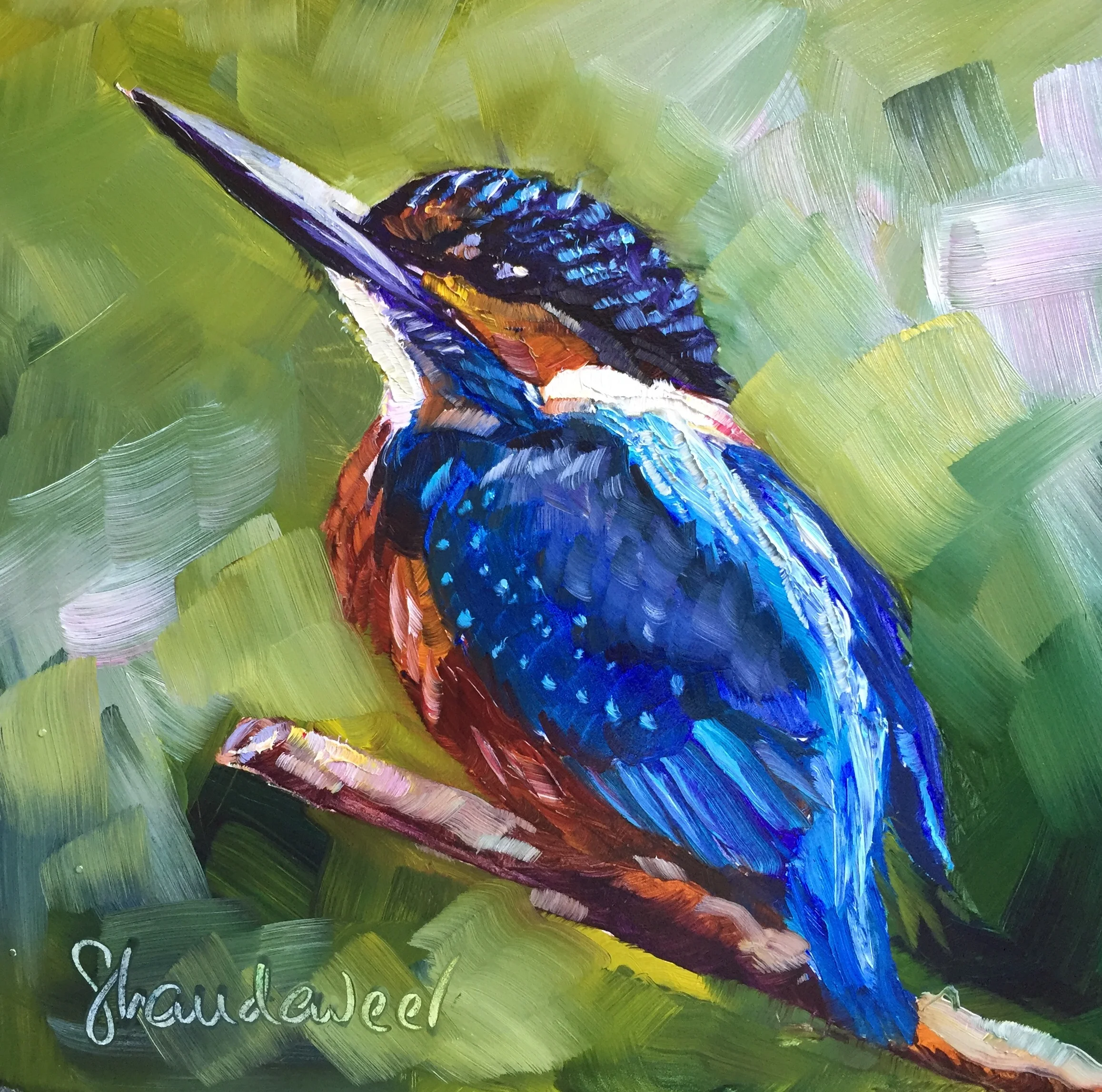 Kingfisher