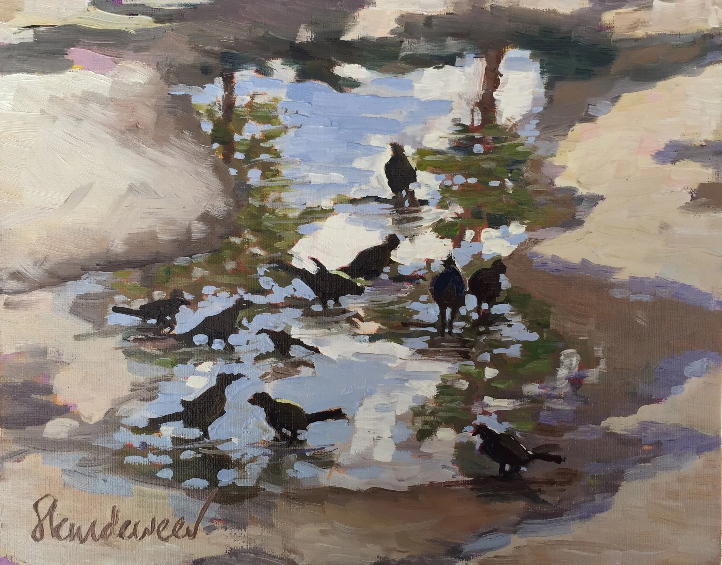 Grackles