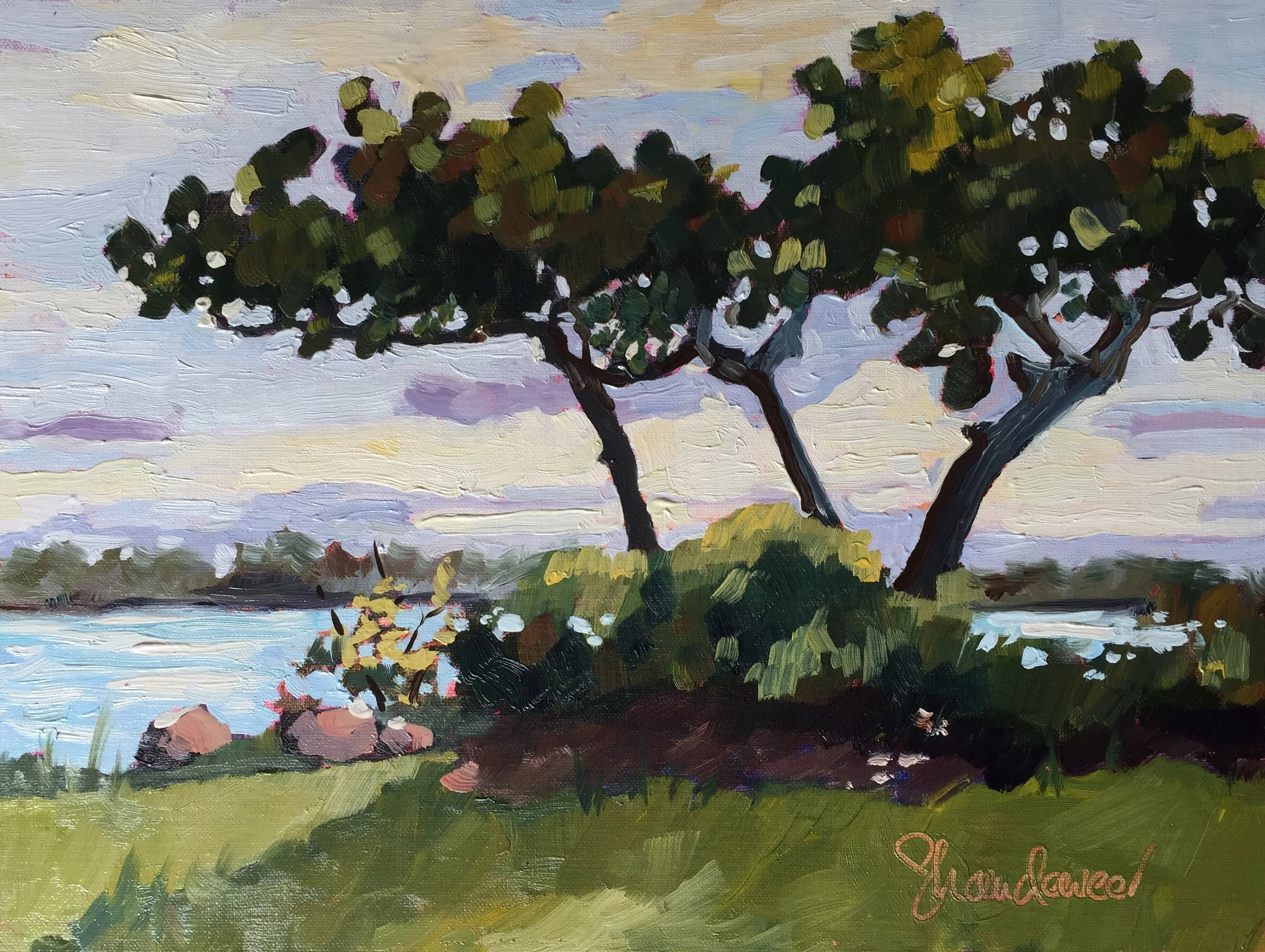 Seagrape Snug Harbor