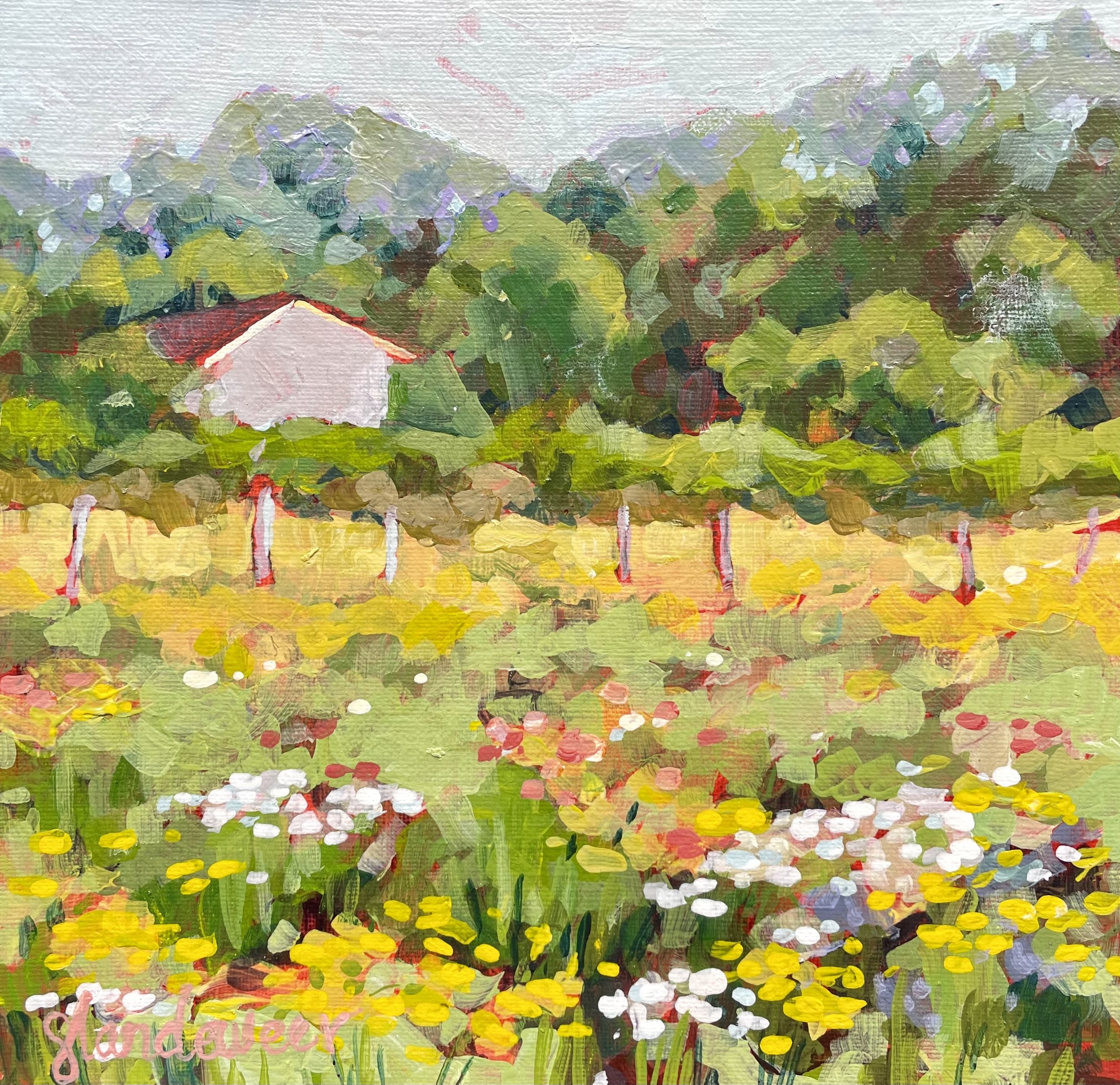 Flower Field