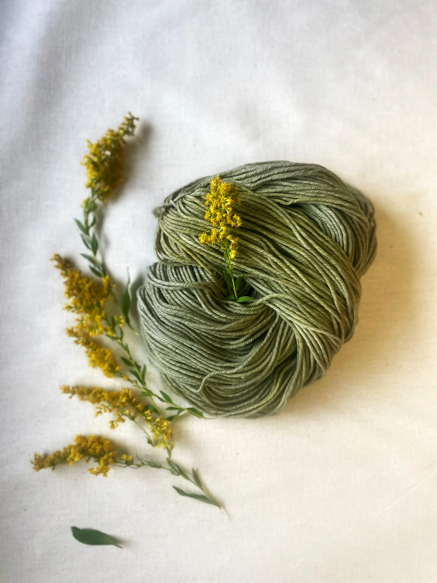 Green Matters Natural Dye Company — DK weight yarn - Plant Dyed Wool 