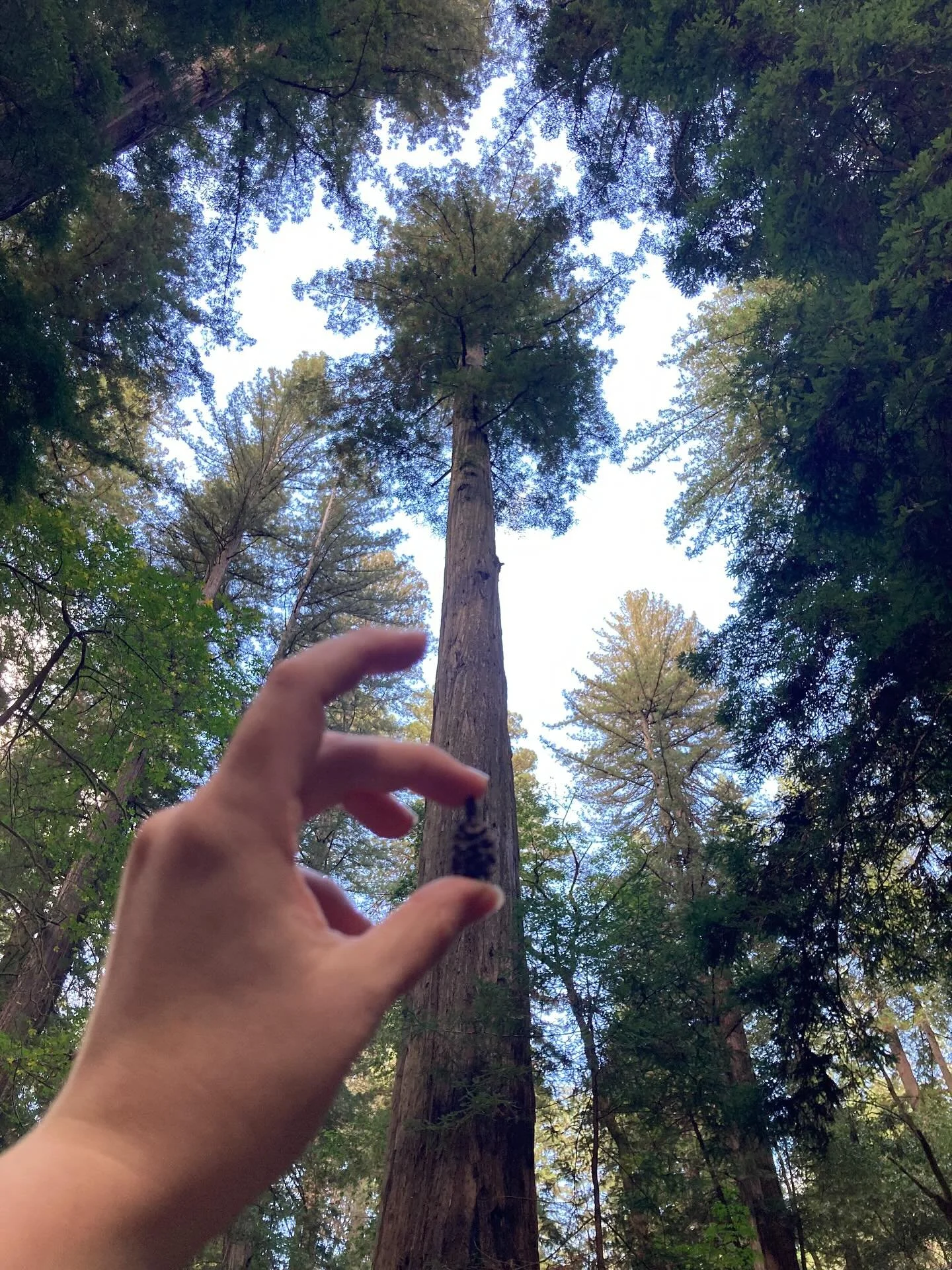 7 years sober and this has been one of the hardest years of my adult life. I think this is true for nearly everyone, sober or not. Depression took hold and I have been working frantically to shake it off. A finger trap of global, national, local and 