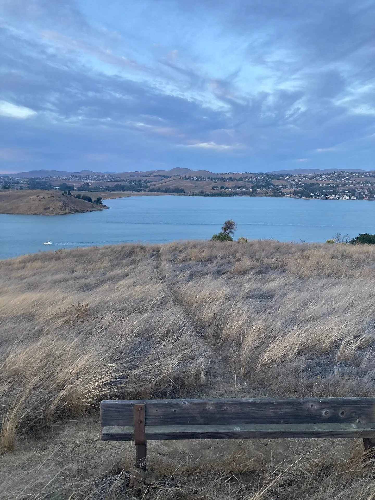 Some photos of a very cozy time. BUT it was at least 10x more cozy and special than what you are imagining plus it smelled good. @blue__prints @ojadesign and Angel Boy Laika 🩵