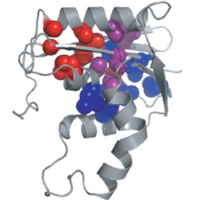 Structural and kinetic Image.png