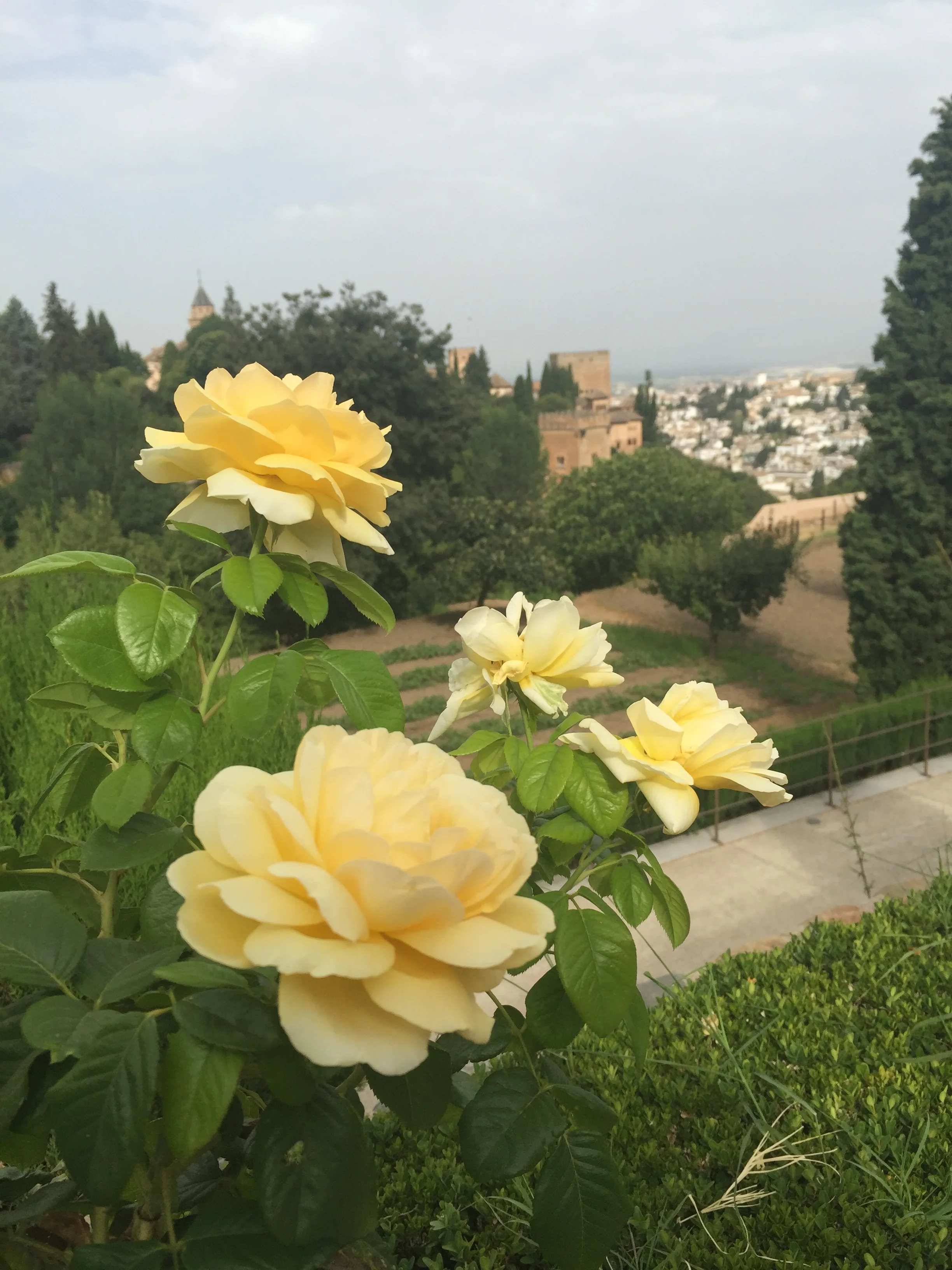 Aromatherapy and the Power of Intention