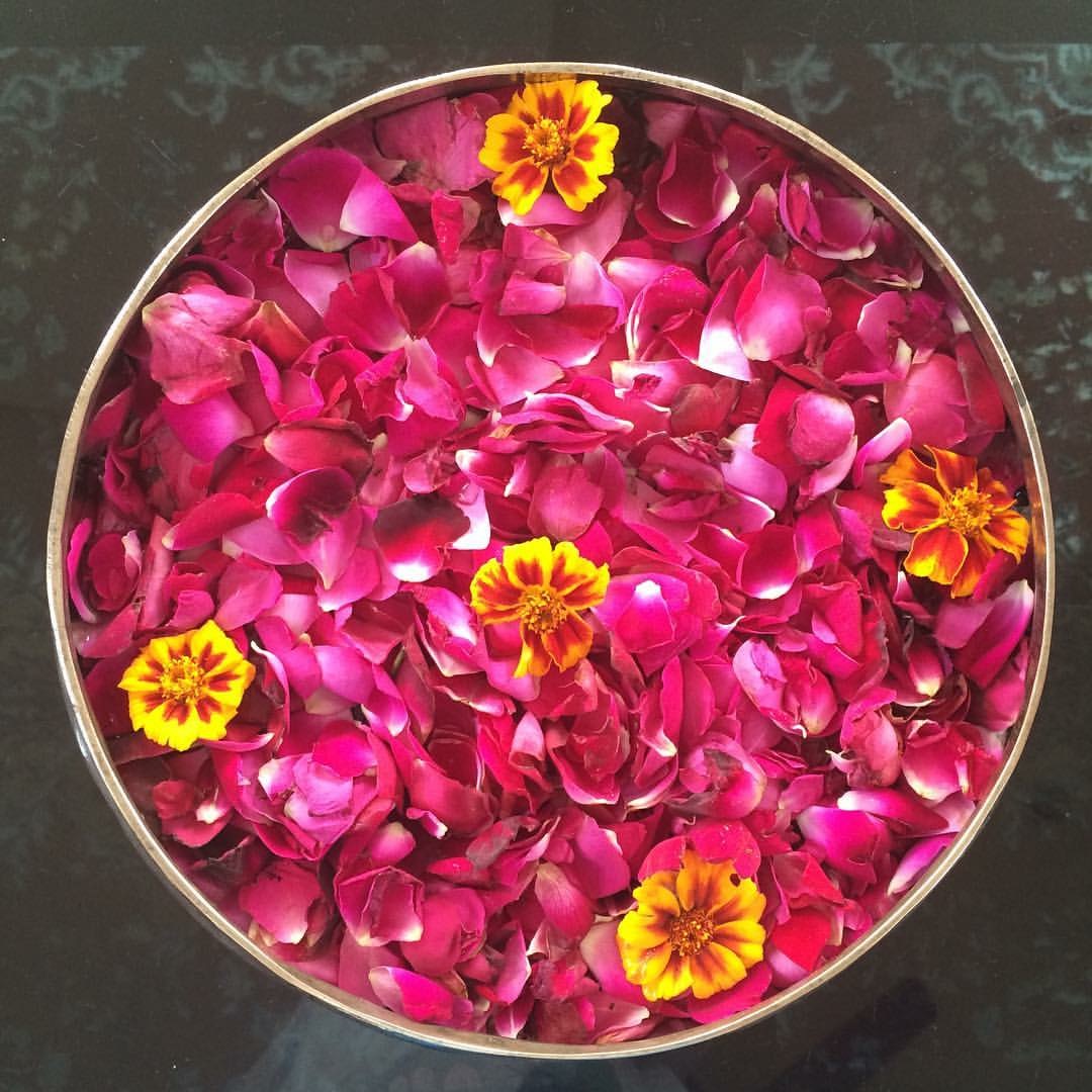 Understanding and Maintaining Balance in your Doshas   