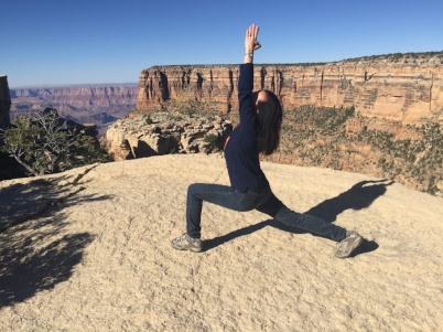 Virabhadrasana I - Warrior I