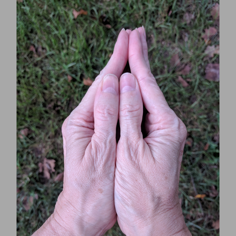 Samputa Mudra