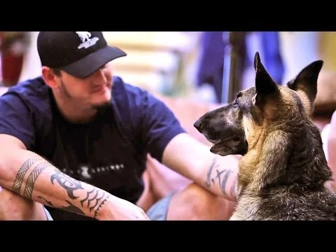 Medical Service Dog Helps Iraq War Veteran and Family