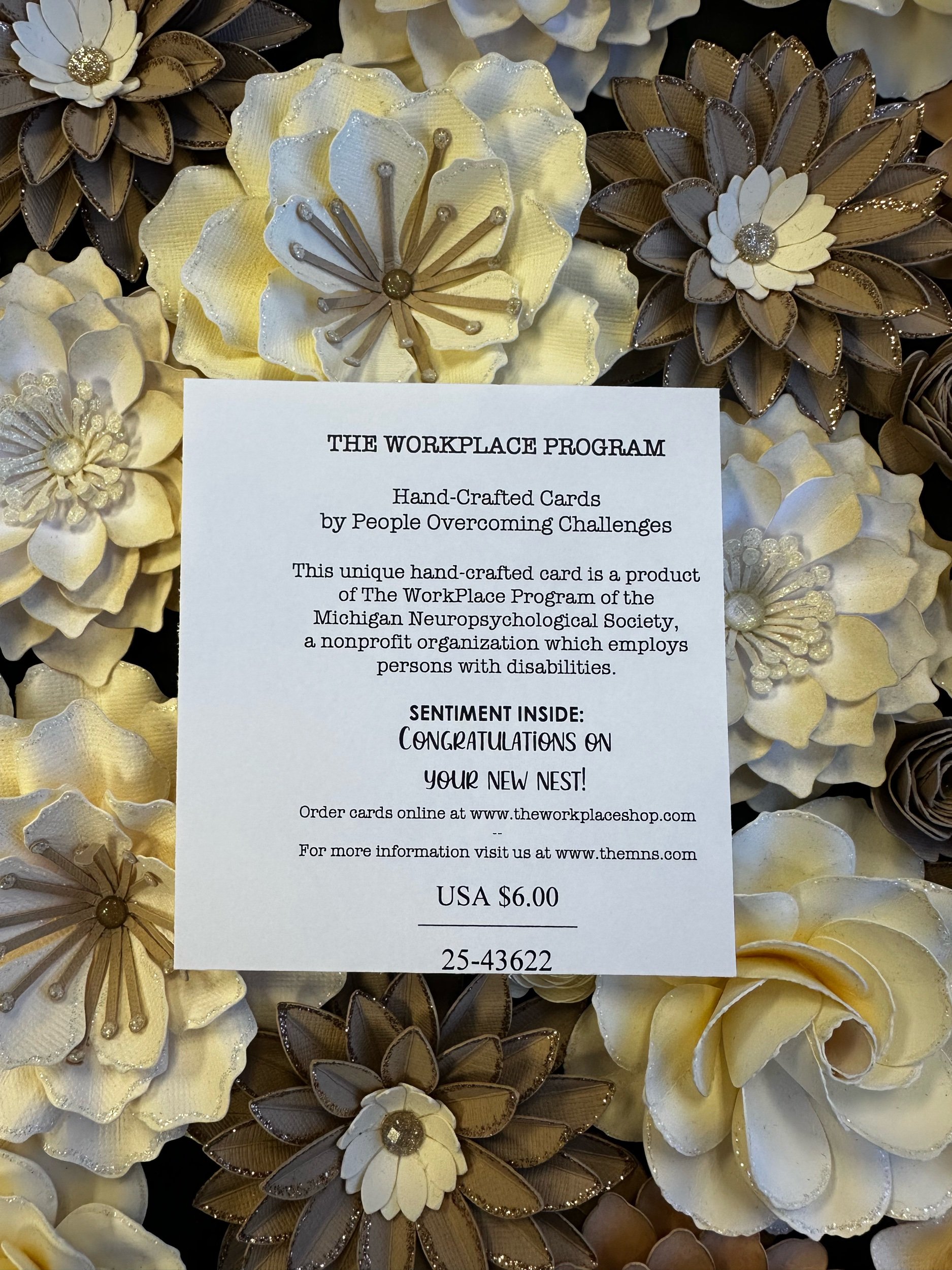 067BD448-957A-4CEA-8D5B-B3BB1ED51379.jpeg