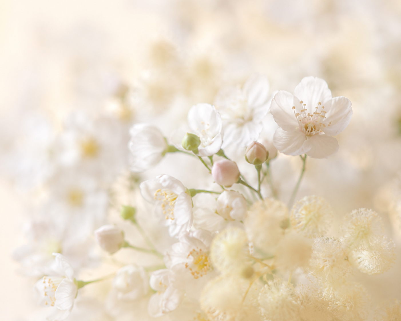 Soft floral mine.png