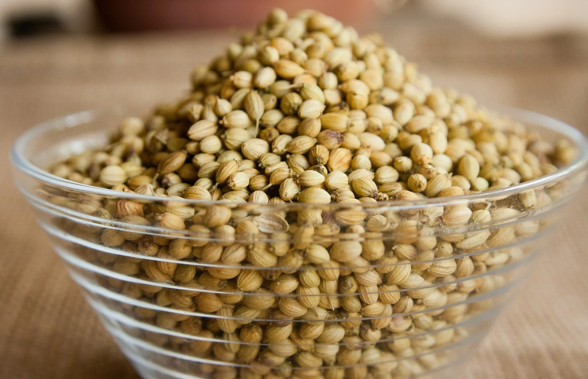 coriander seeds.jpg