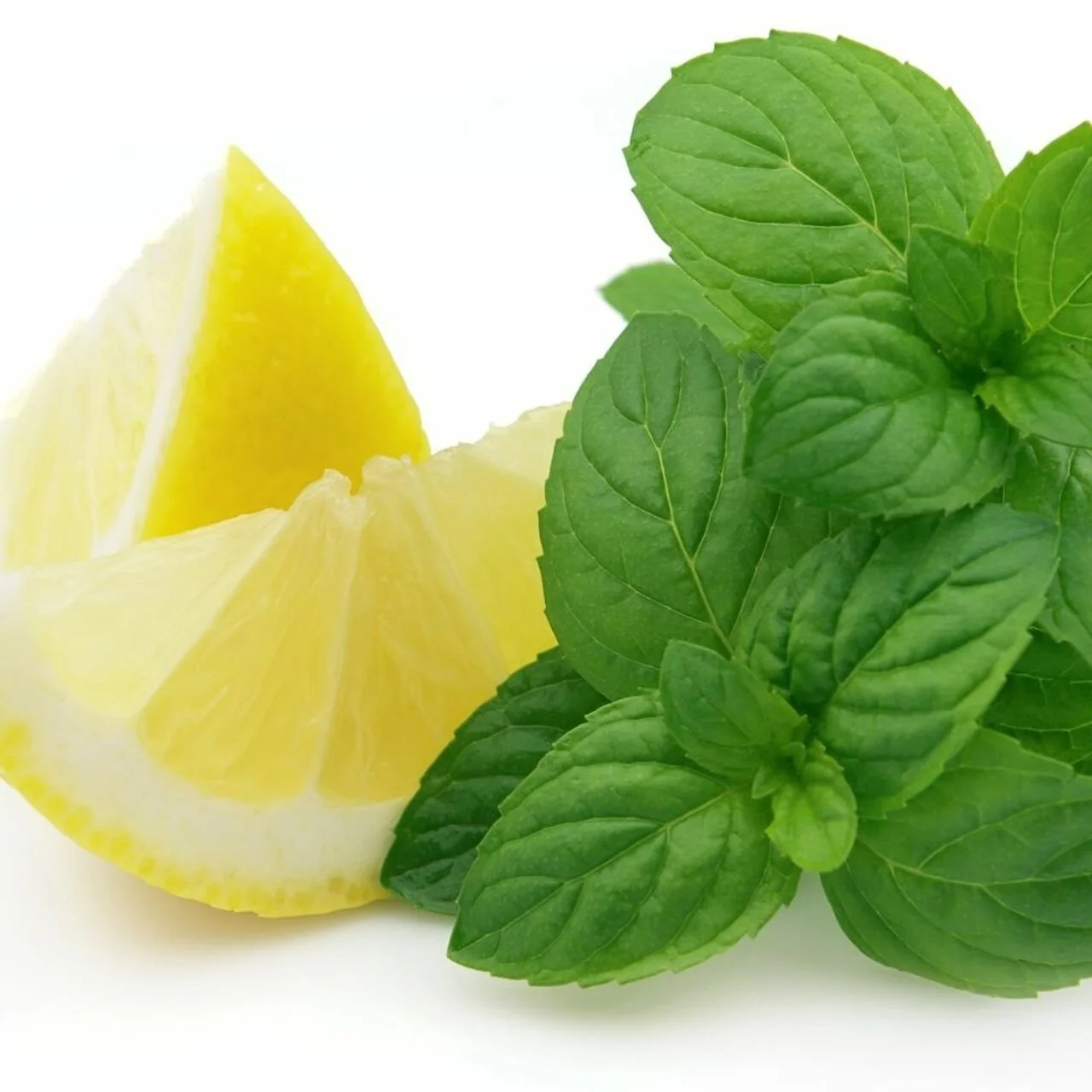 Lemon-Mint-Leaf__57584.1637678992.jpeg