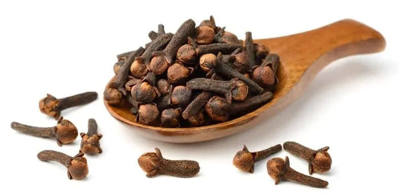 Clove Bud Absolute