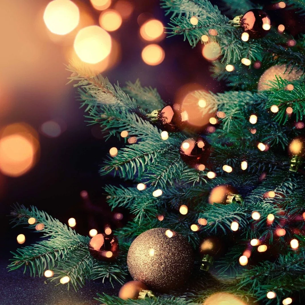 Christmas Forest Blend