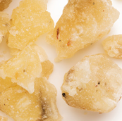 Elemi Resinoid