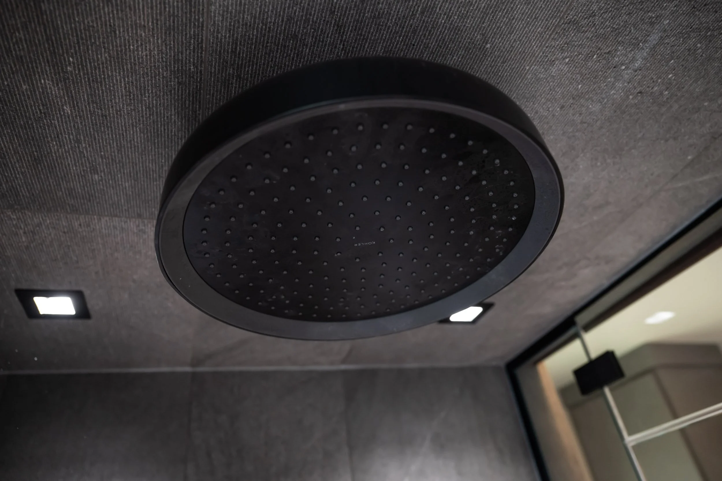 A close-up view of the Kohler rain head