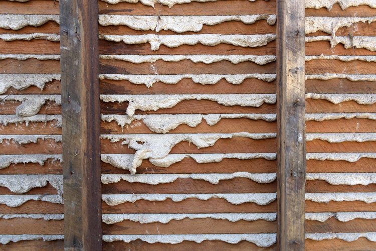 Horse Hair Plaster Walls In Home Renovation Keep Cover Or Remove Degnan Design Build Remodel - How Do You Find Studs In Lath And Plaster Walls Horse Hair Plaster Walls In Home Renovation Keep Cover Or Remove Degnan Design Build Remodel - How Do You Find Studs In Lath And Plaster Walls