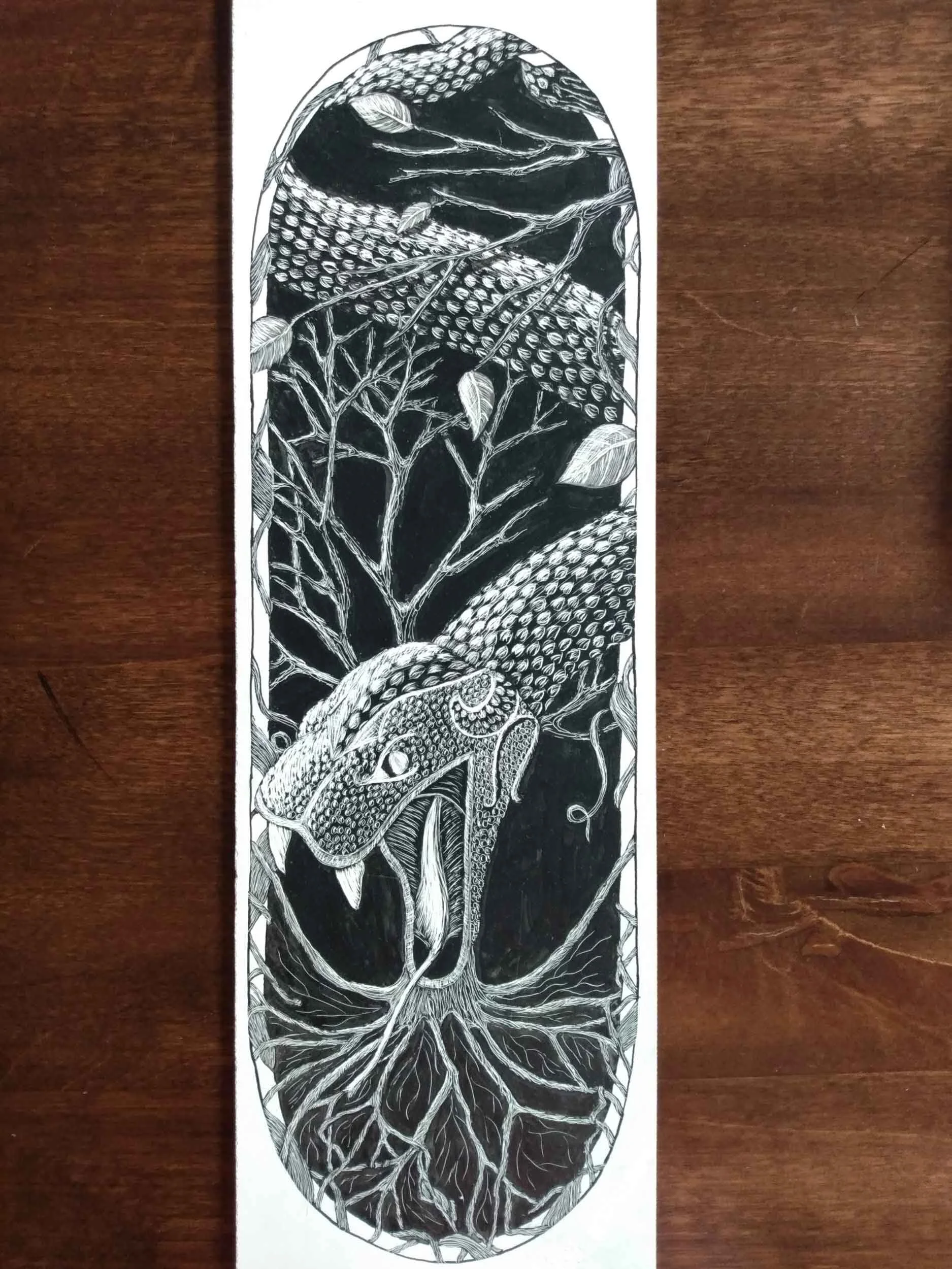 Kelly Johnson, Design & Estimating Coordinator — Degnan DesignBuild