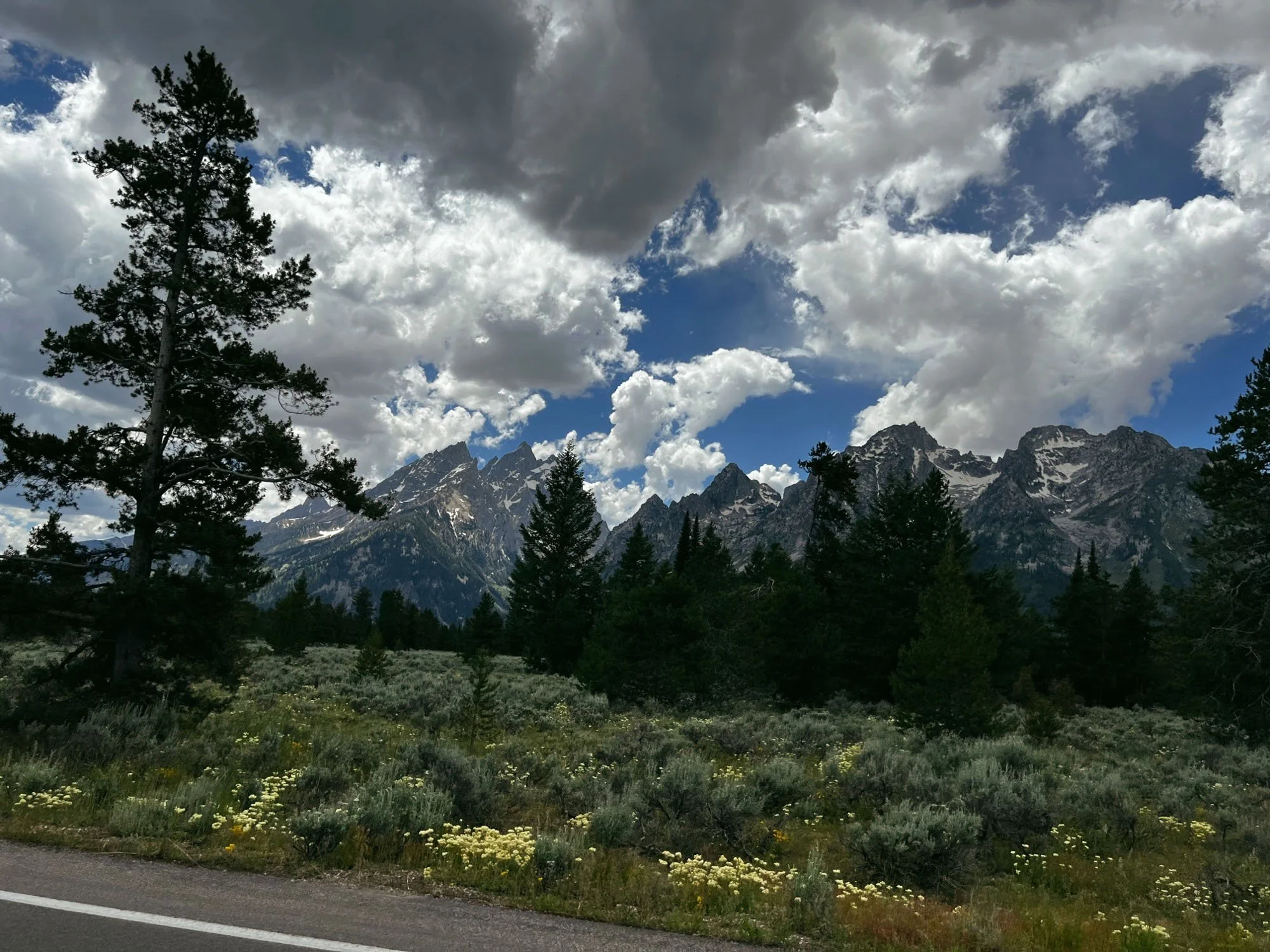 Trip to the Grand Tetons.jpg