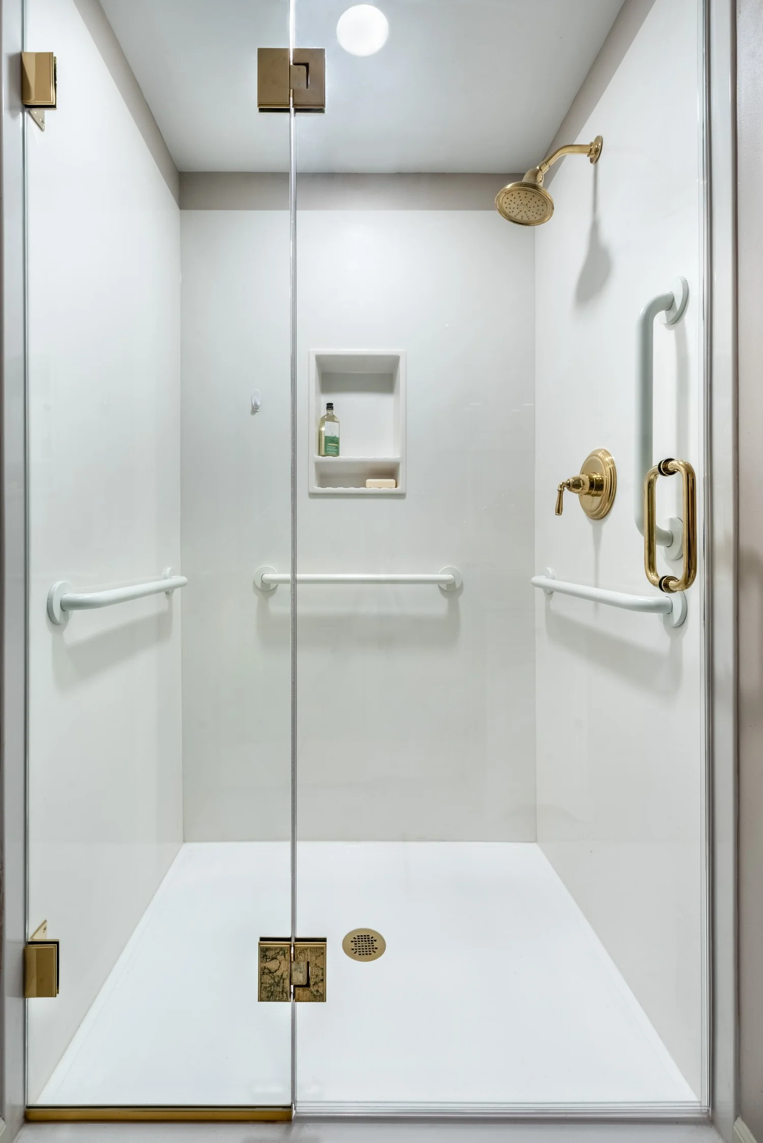 Aging-In-Place Bath Remodel Maple Bluff — Degnan Design-Build-Remodel
