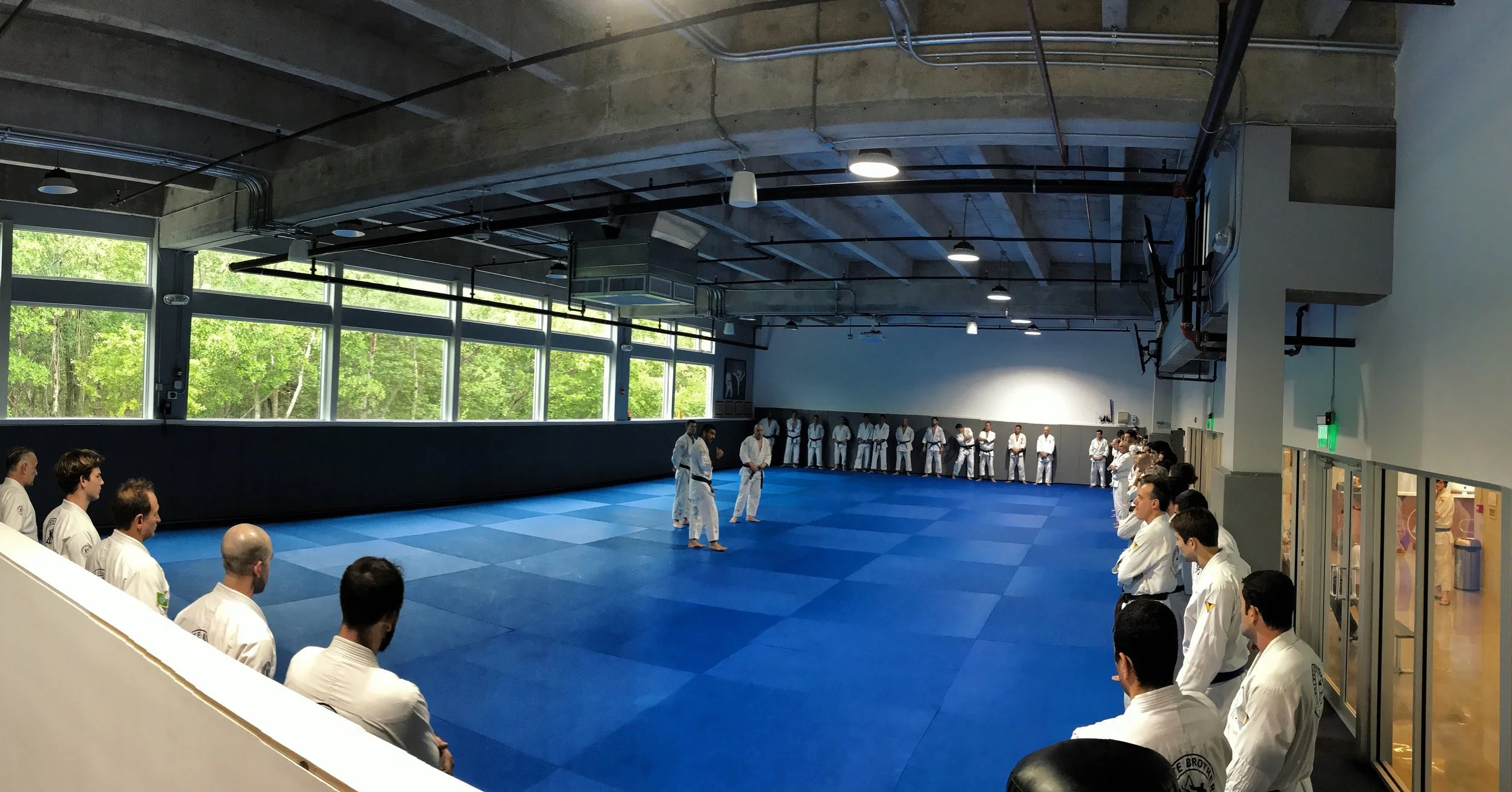 FIGHTING FOUNDATIONS BACKGROUND.jpeg