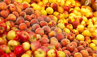 apples and peaches.jpg