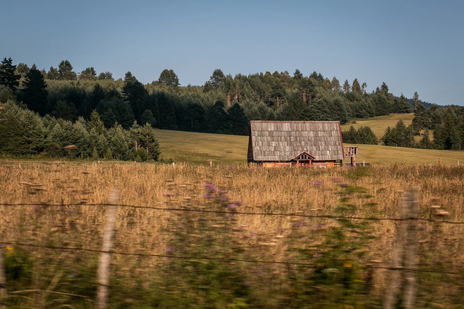 Landscape in motion