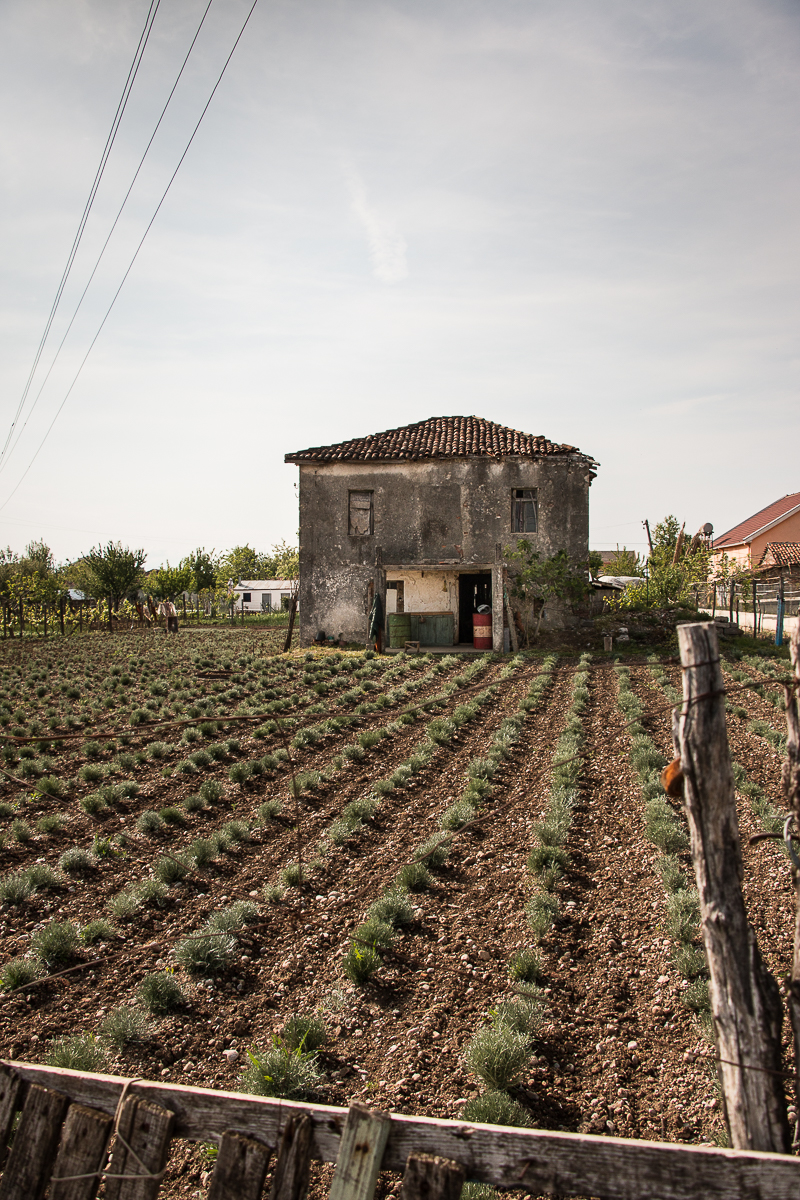 Albania.