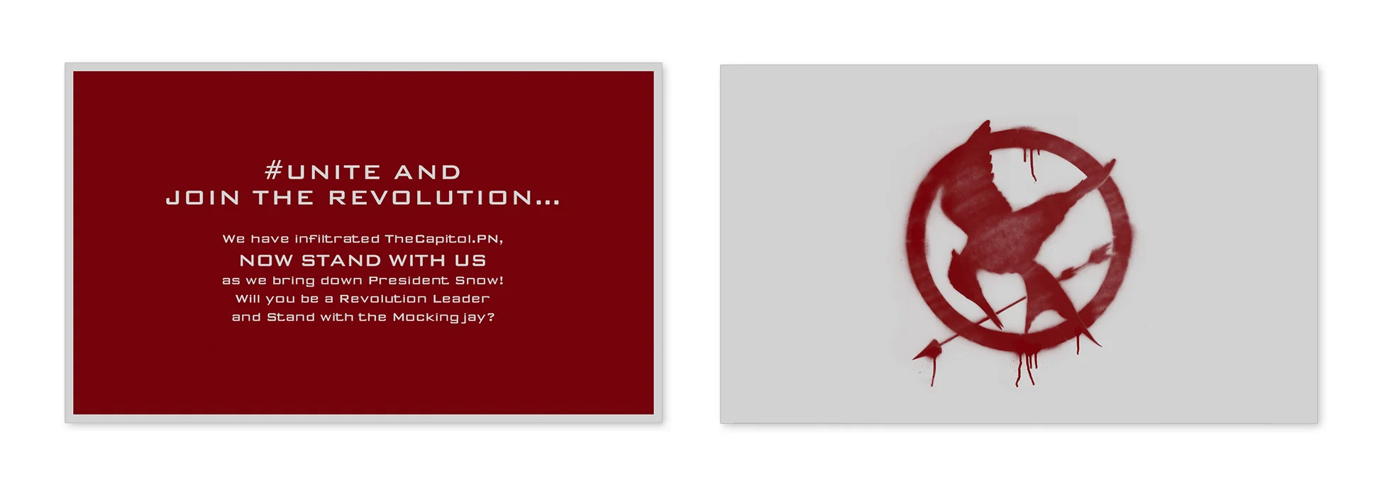 2015_Cannes_BOXmockup1B.jpg