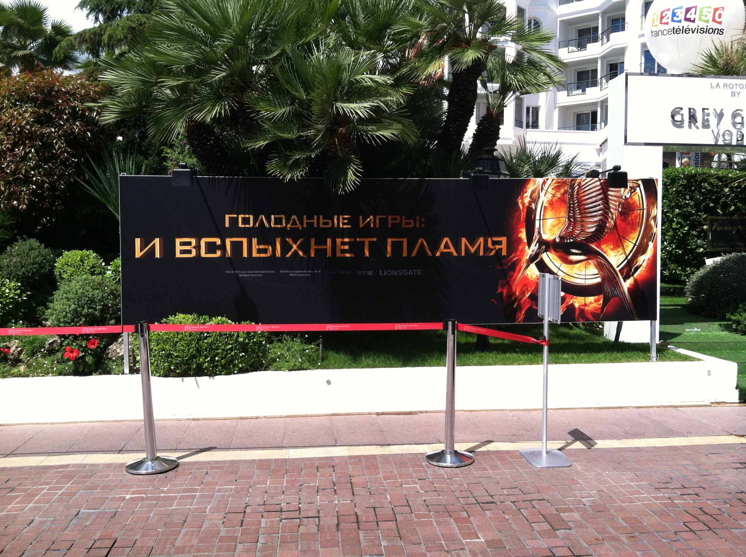 IMG_2550.jpg