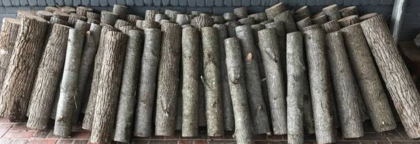 Screen Shot 2018-09-17 at 4.51.55 PM.png