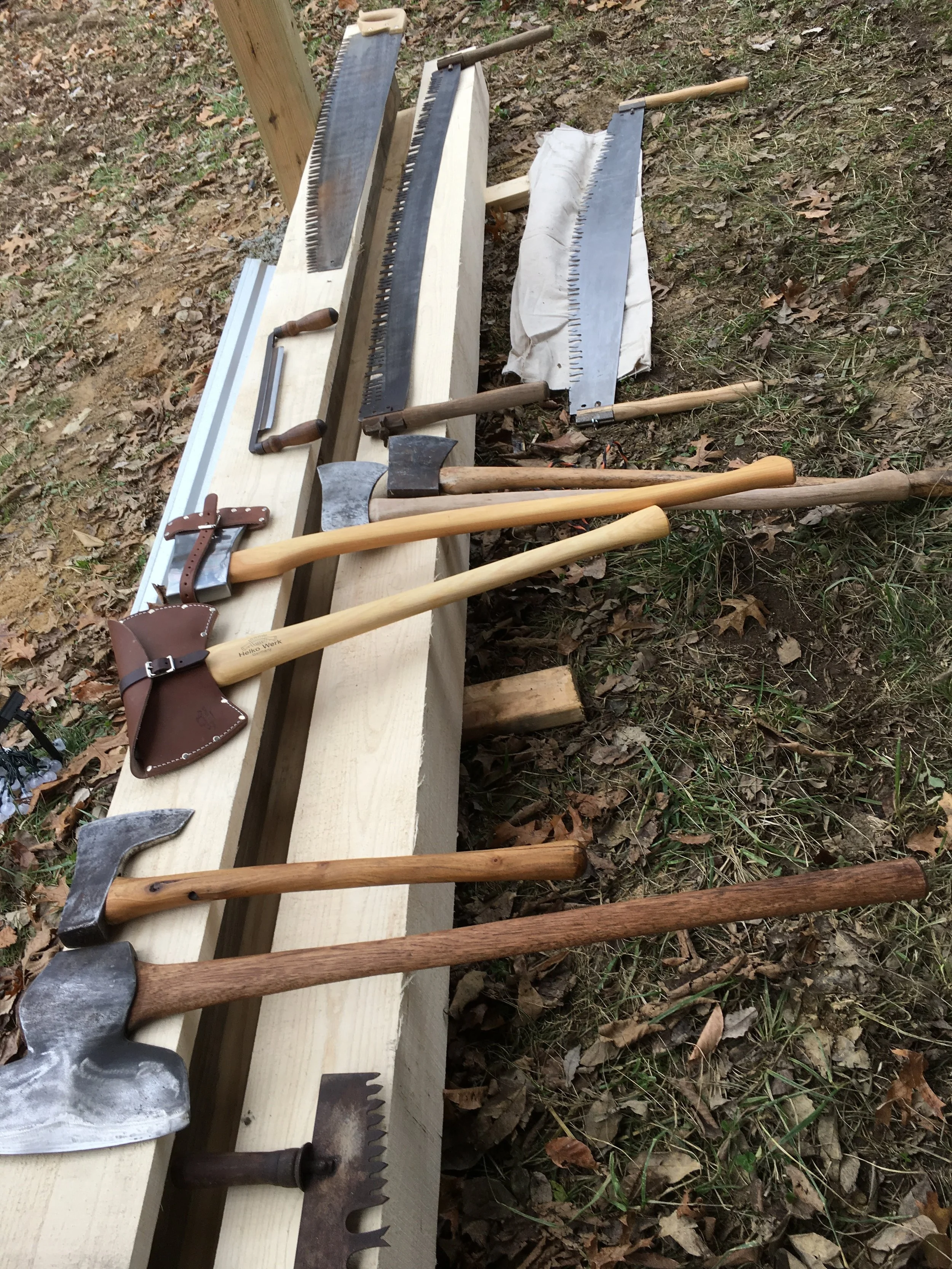 Regenerative Forestry and Traditional Forestry Hand Tools — Thriving