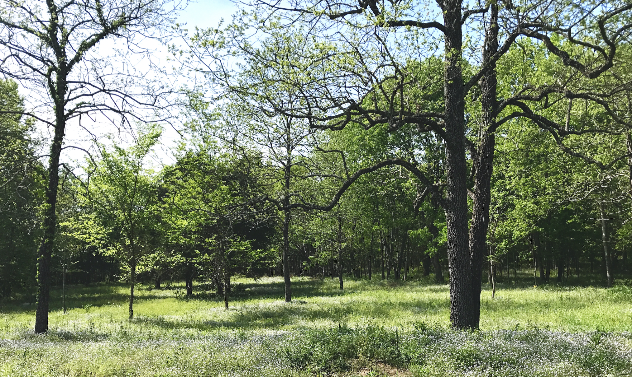 Screen Shot 2023-01-06 at 10.10.25 AM.png