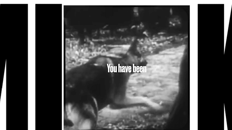 Martin Luther King Day 2021