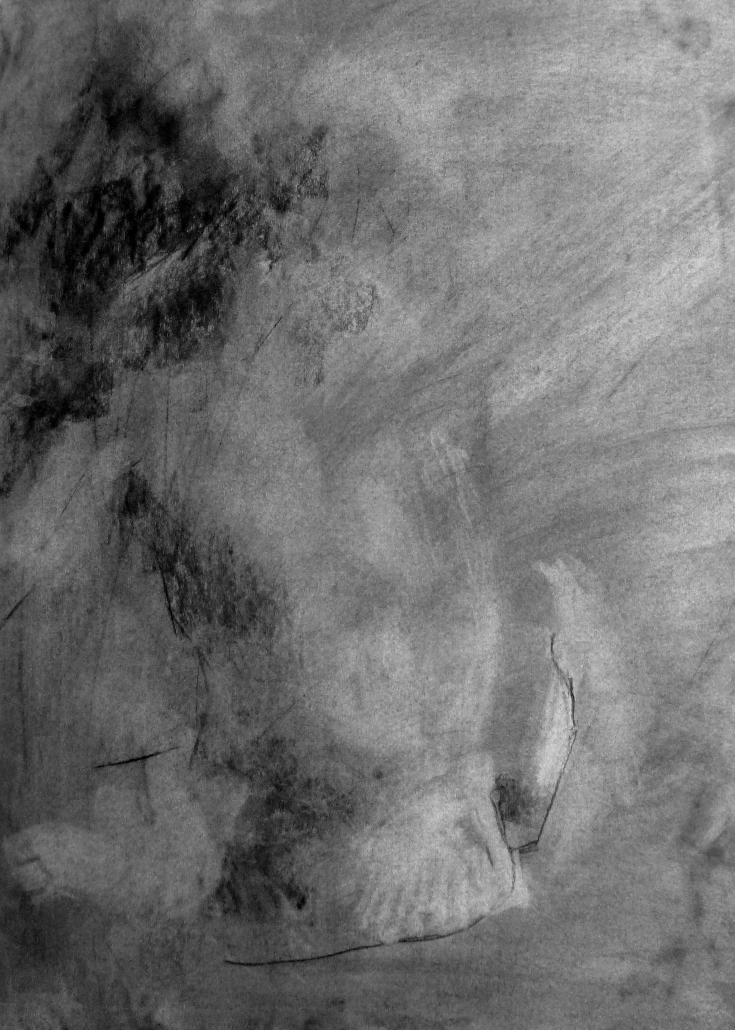  Charcoal on white cartridge paper &nbsp;60x 84 cm &nbsp;2014 