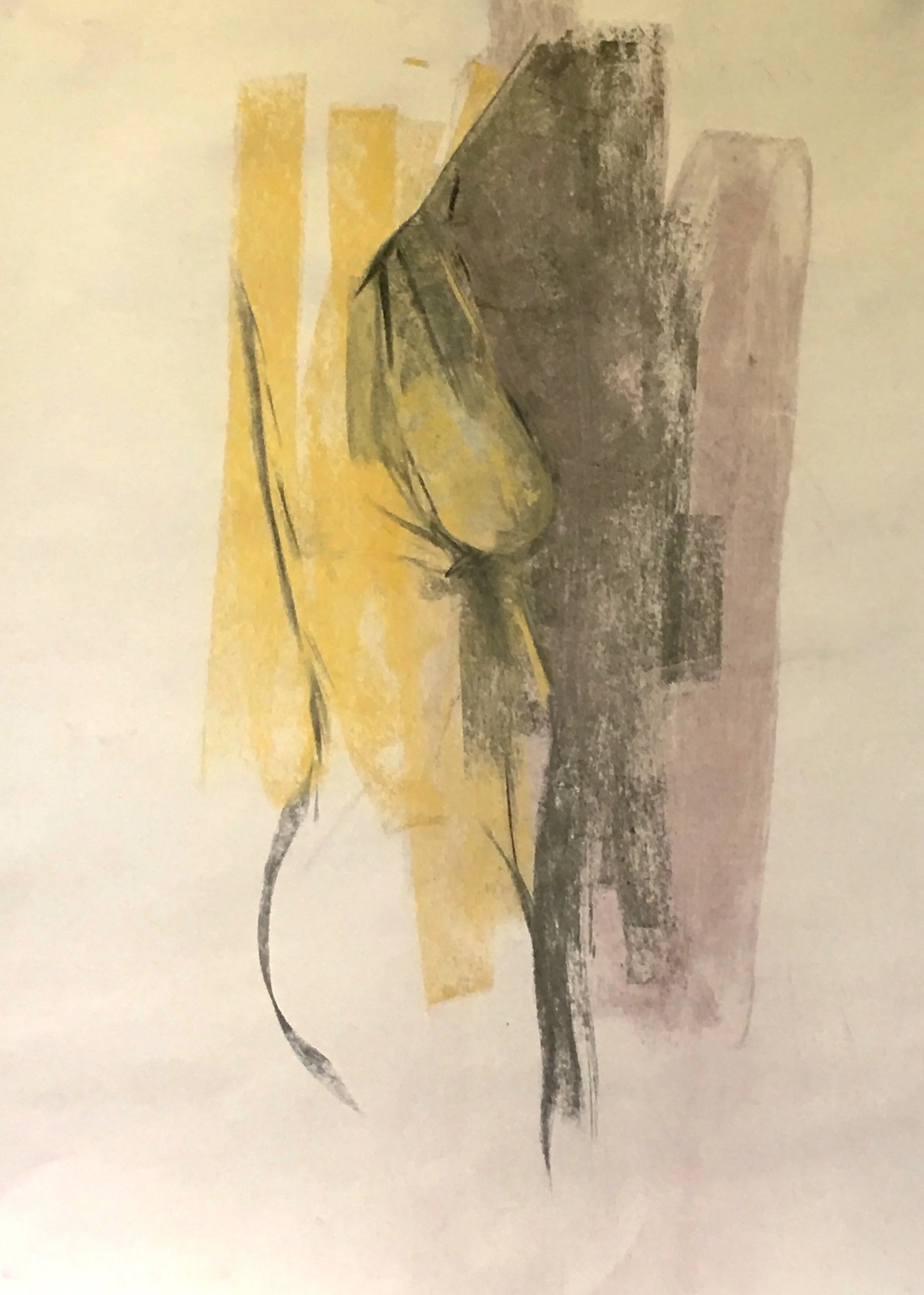Pastel and charcoal on sugar paper 2019 60x80 cms